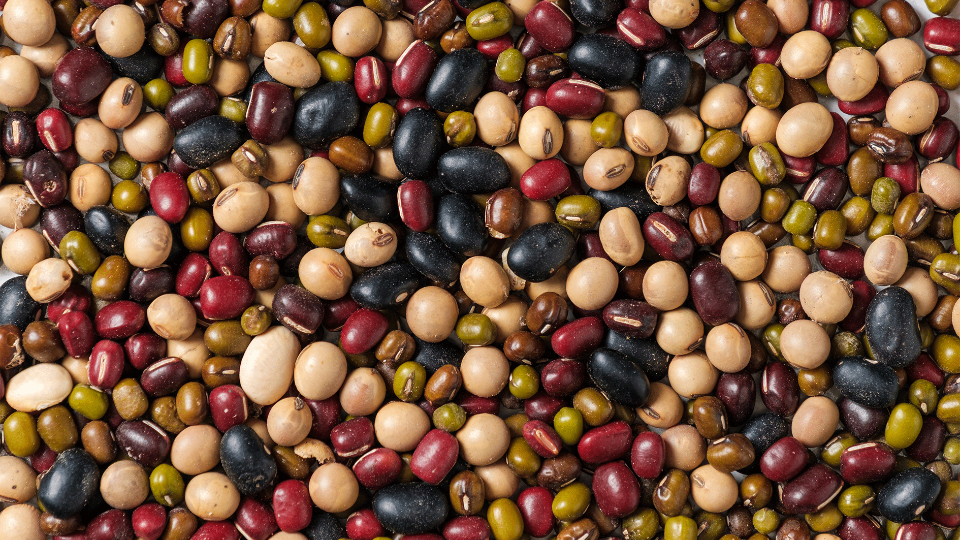 Heute.at - Zauberei? – Bohnen sollen dein Leben besser machen