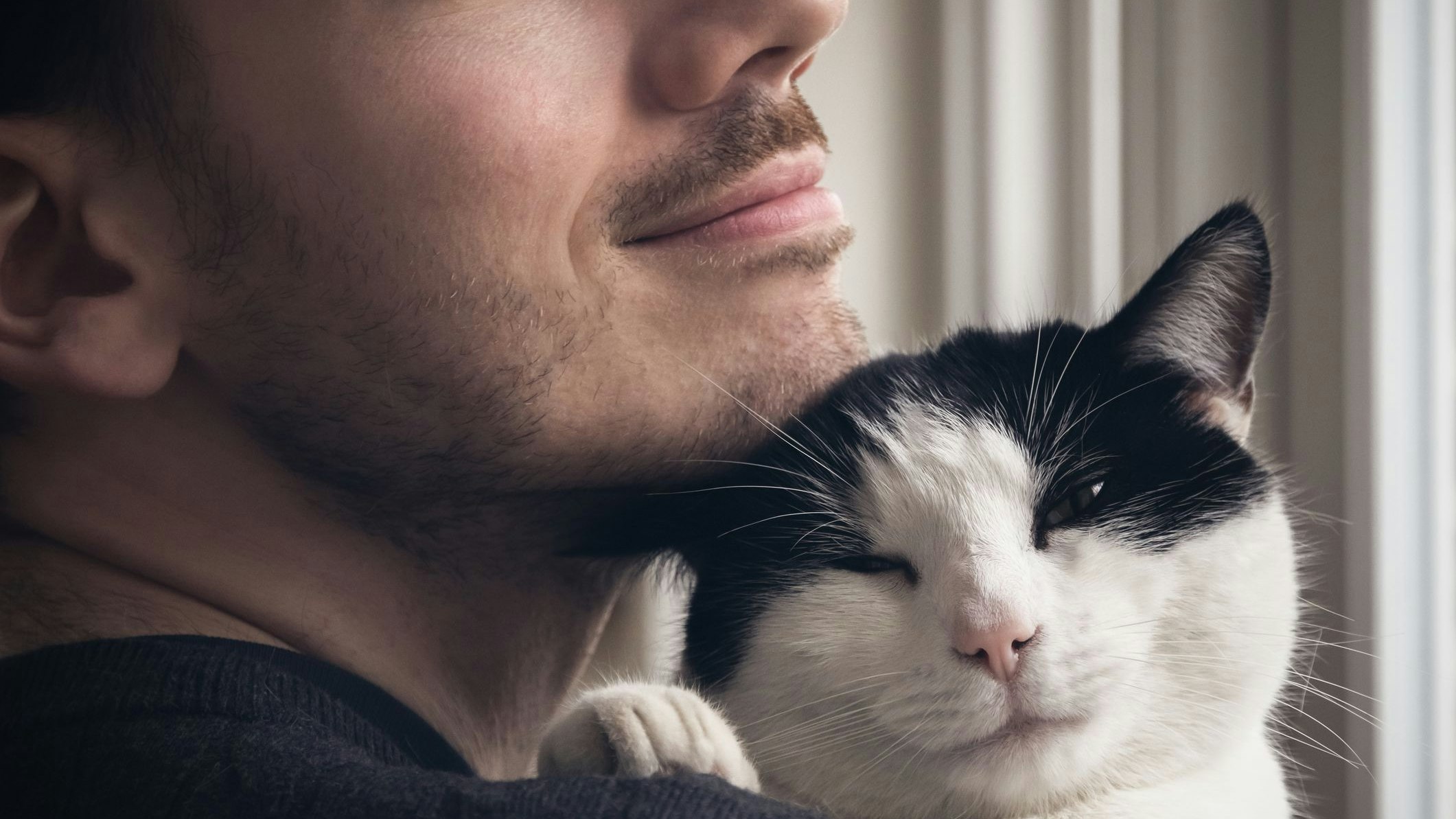 Heute.at - Lustig! Deshalb miaut die Katze bei Männern öfter