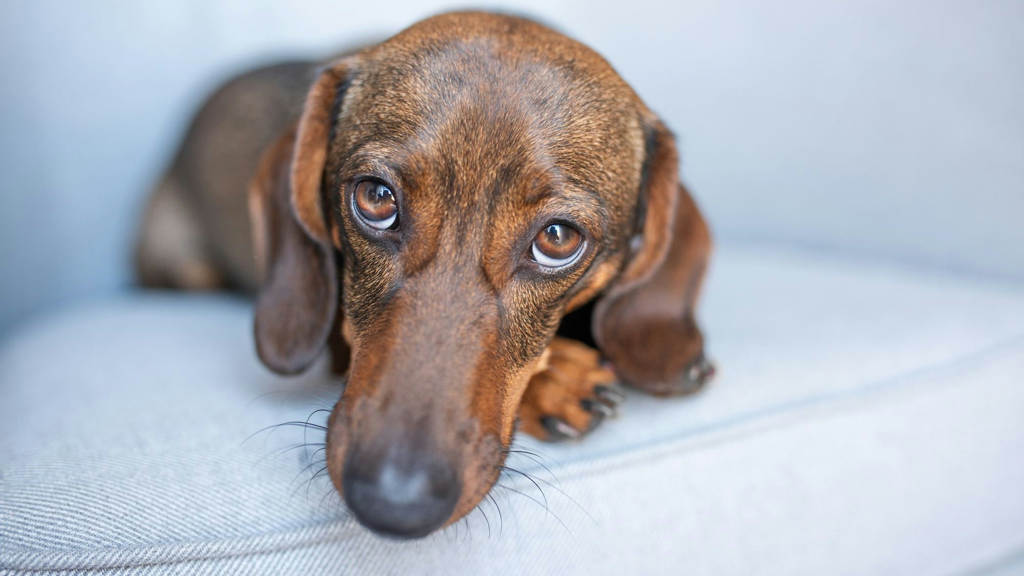 Heute.at - Grusel-Plan: Was nun alles in Österreich teurer wird
