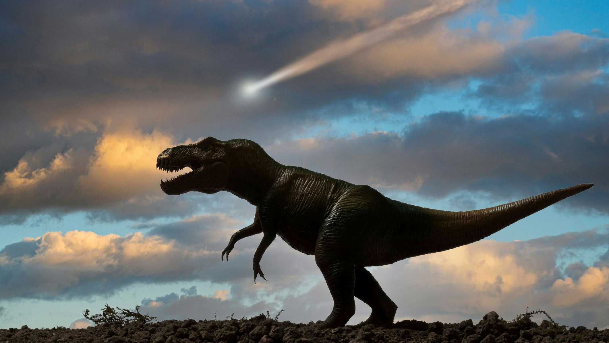 Heute.at - Dinos wussten nicht, was passiert, aber wir wissen es