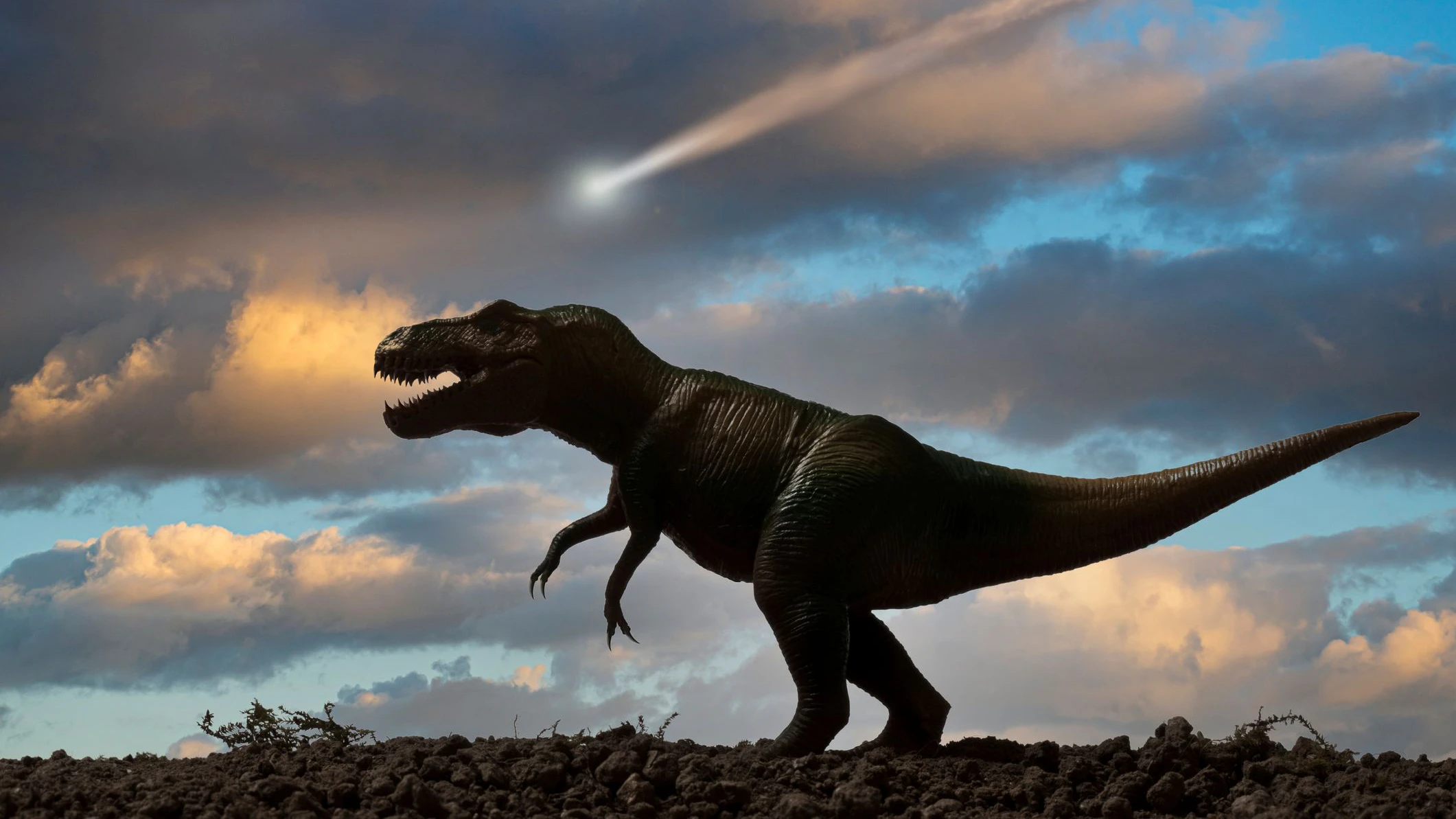Heute.at - Forscher über Einschlag: Dinos hatten echt viel Pech