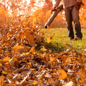 Warum sich bei Laubbläsern keiner mehr ein Blatt vor den Mund nimmt