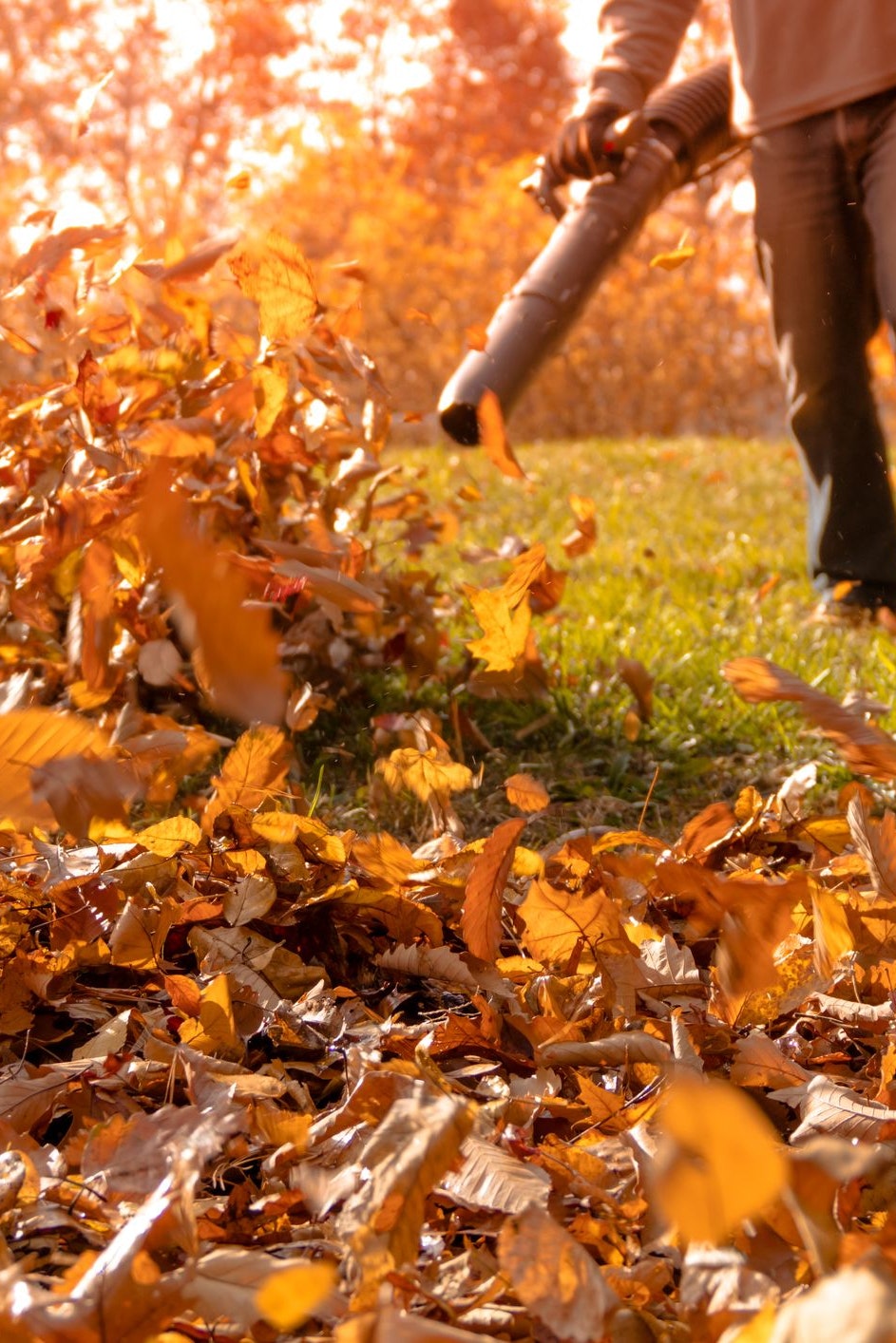 Laubbläser lösen in den USA immer öfter Nachbarschafts-Streitigkeiten aus
