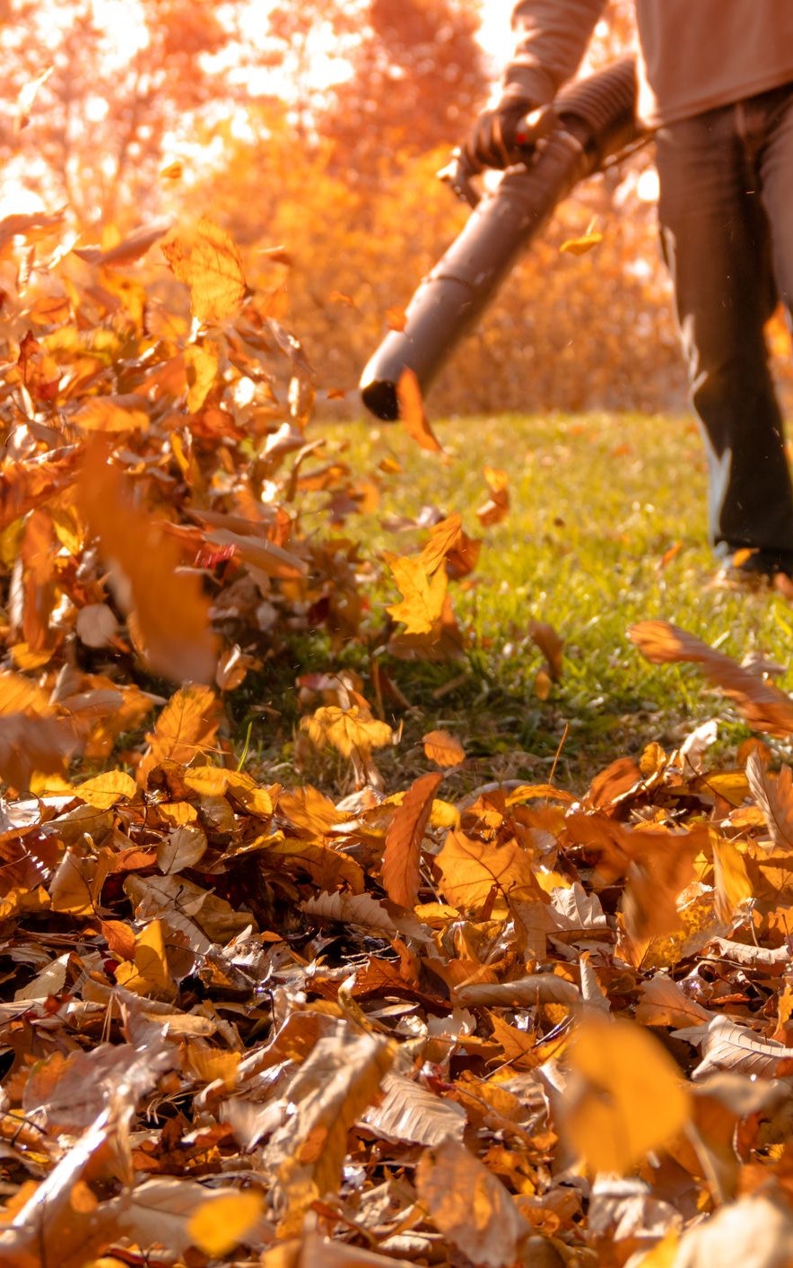 Warum sich bei Laubbläsern keiner mehr ein Blatt vor den Mund nimmt