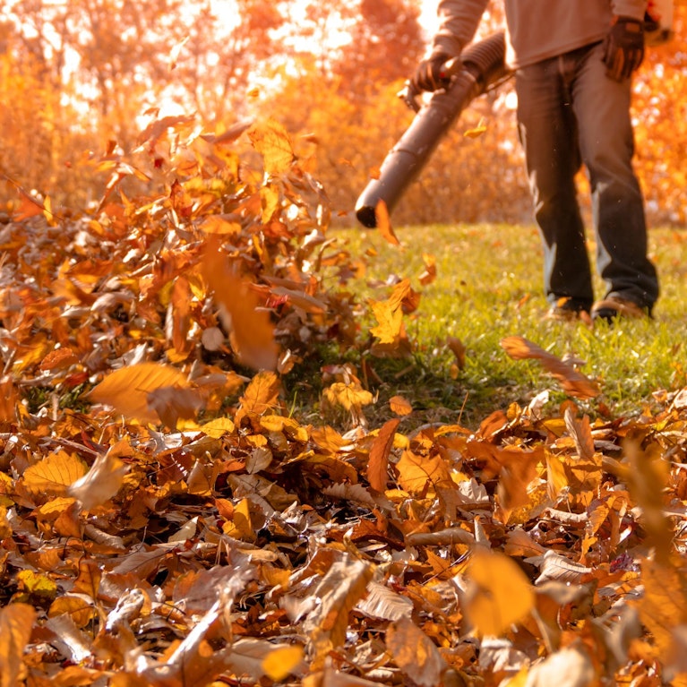 Immer mehr Städte in den USA verbieten Laubbläser mit Benzinmotoren. Was die einen großartig finden, treibt die anderen auf die Barrikaden. Der Streit bringt Nachbarn gegeneinander auf und wird zunehmend politisch. Wieso das Thema so viele emotionalisiert.