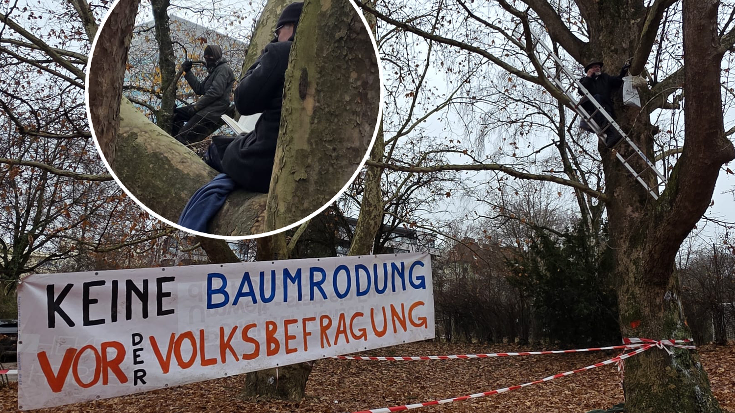 Mindestens acht Aktivisten besetzen seit Donnerstagfrüh Bäume beim Bergschlößlpark.