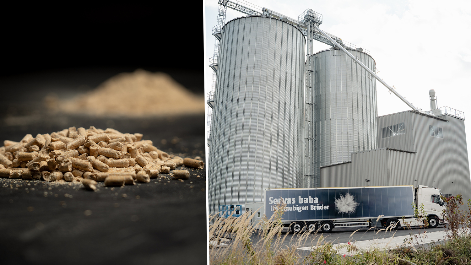 Heute.at - Firma sagt Staub Ade: neue Pellets am Markt