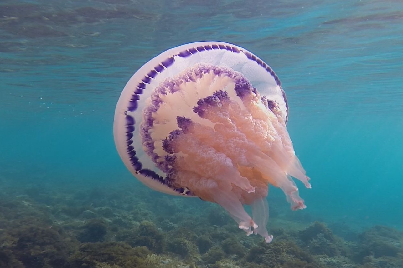 Meditativ: der österreichische Dokumentarfilm "Elements Of(f) Balance"
