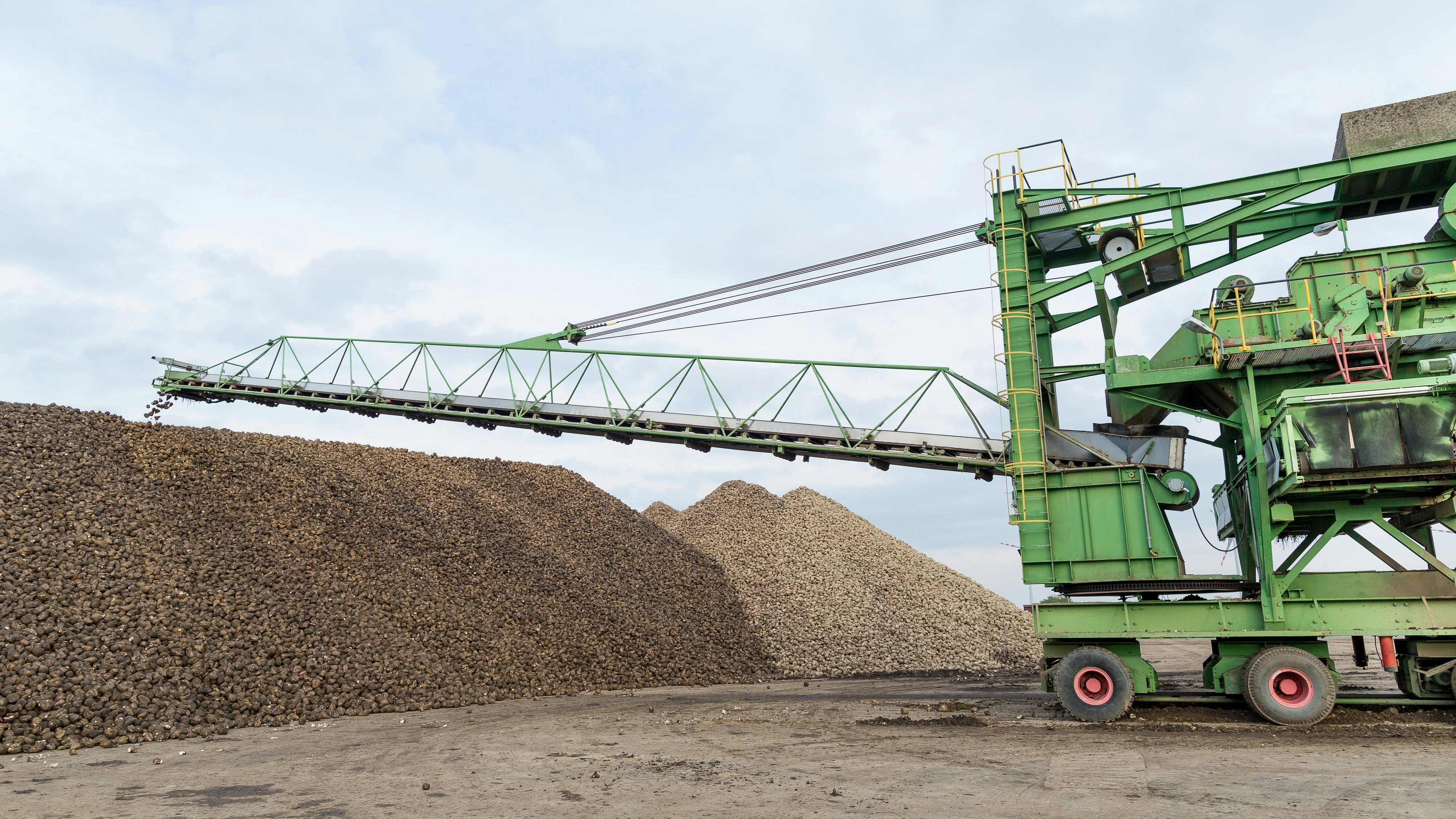 Die Anlieferung von Zuckerrüben an einer Betriebsstätte der Agrana.