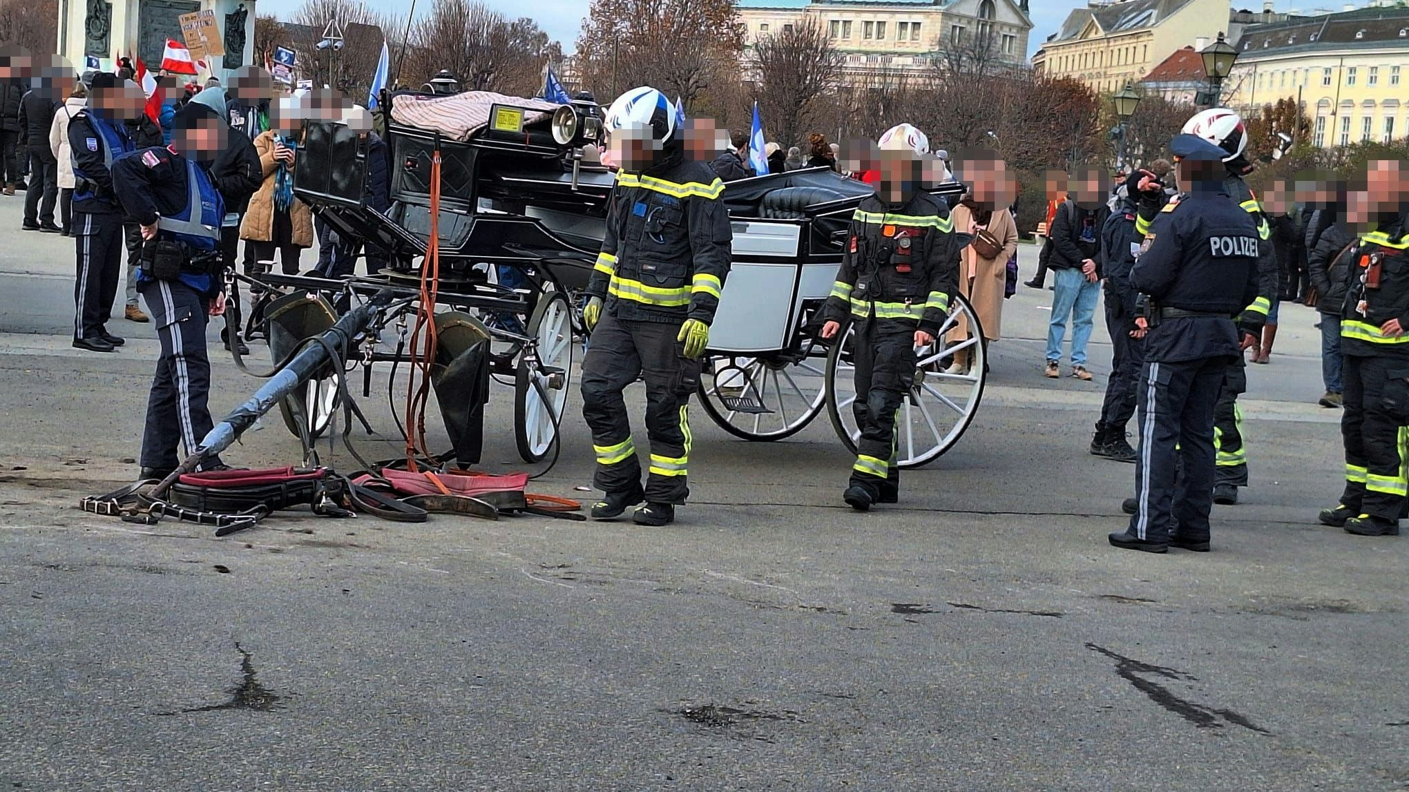Heute.at - Passanten schockiert! Fiakerpferd stürzt am Heldenplatz
