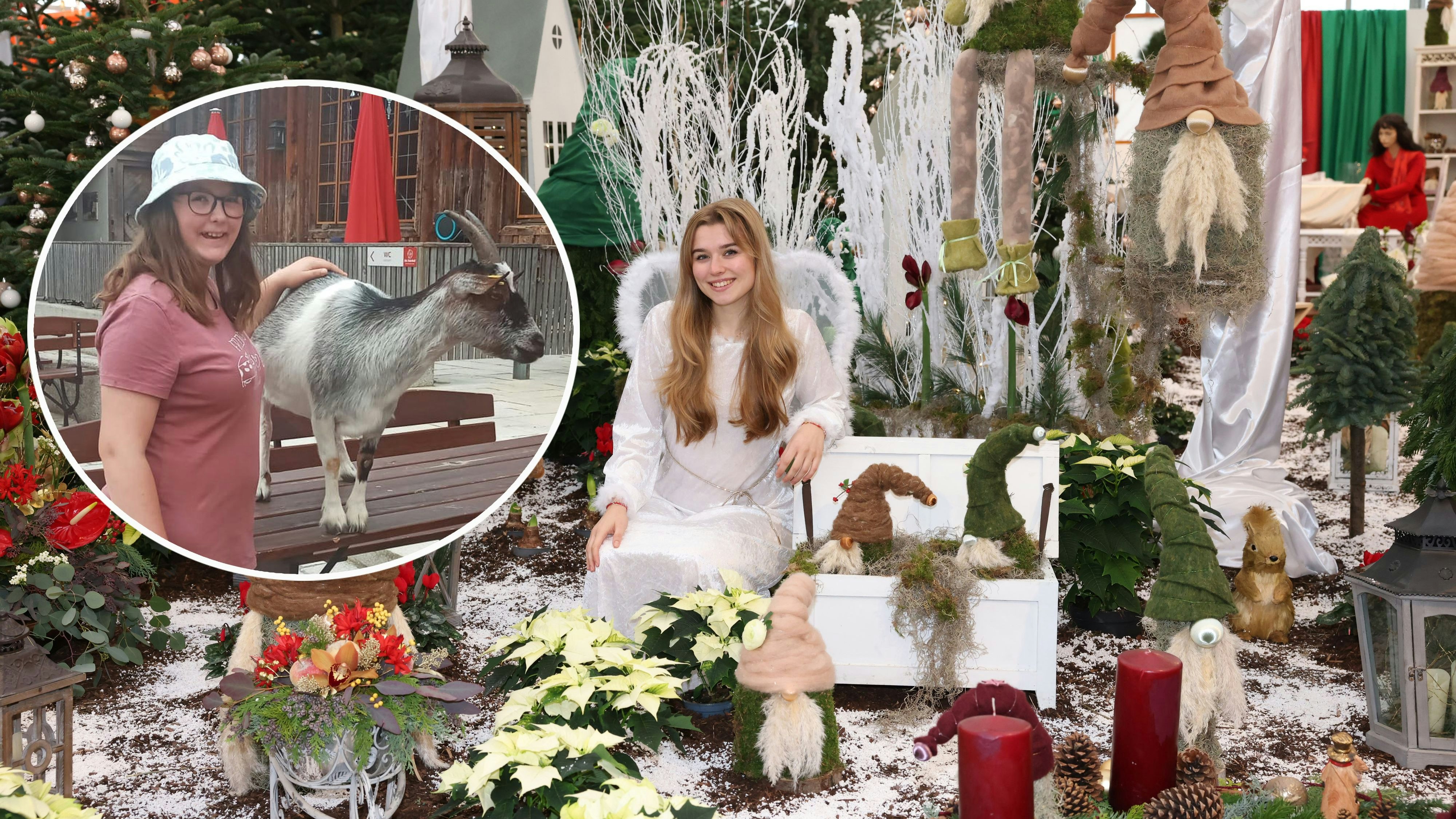 Heute.at - Christkind überrascht Pia (14) mit tierischem Besuch