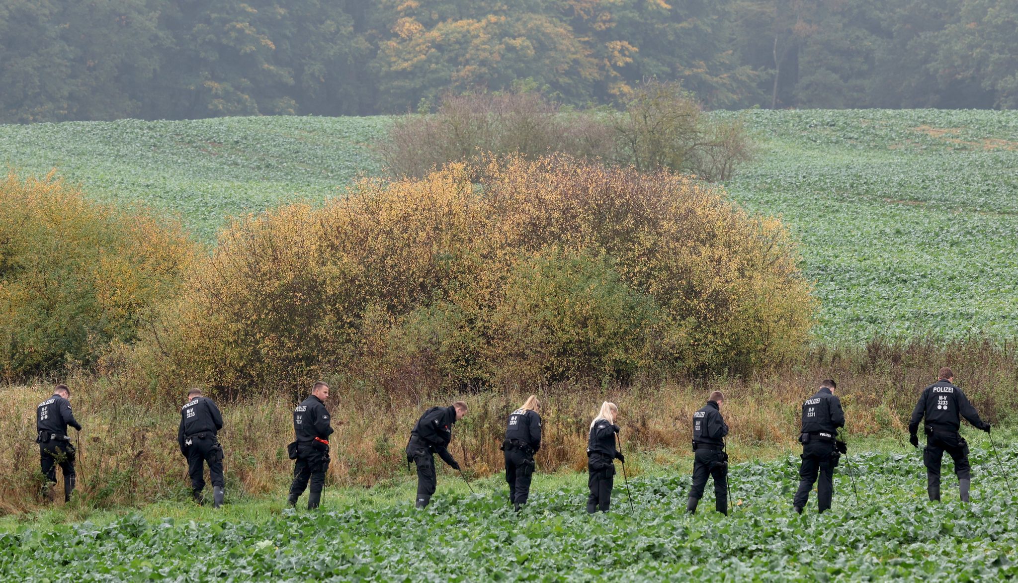 Heute.at - Beweismittel entdeckt! Neue Suche am Fundort gestartet