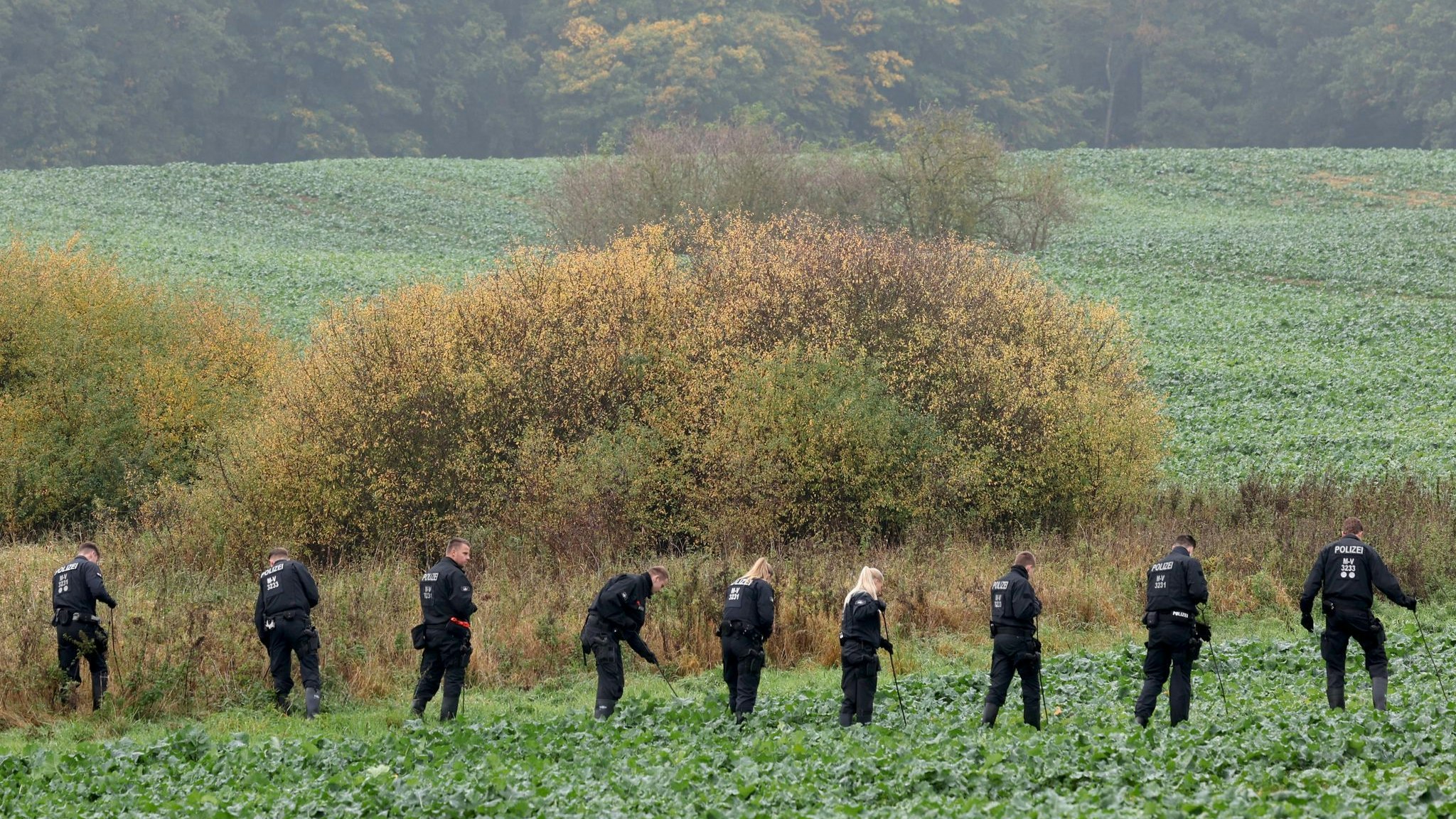 Heute.at - Beweismittel entdeckt! Neue Suche am Fundort gestartet