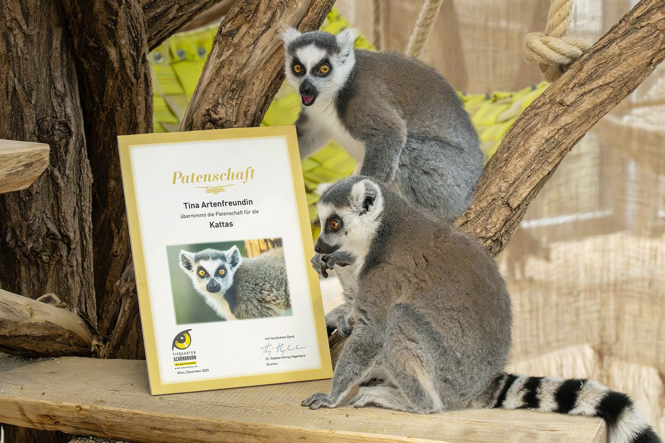 Heute.at - So kommst selbst du zu einem exotischen Wildtier