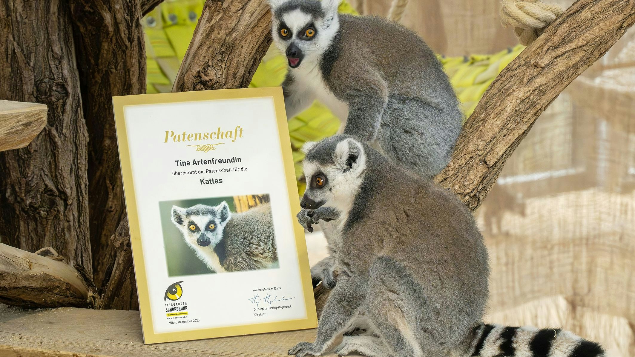 Heute.at - So kommst selbst du zu einem exotischen Wildtier