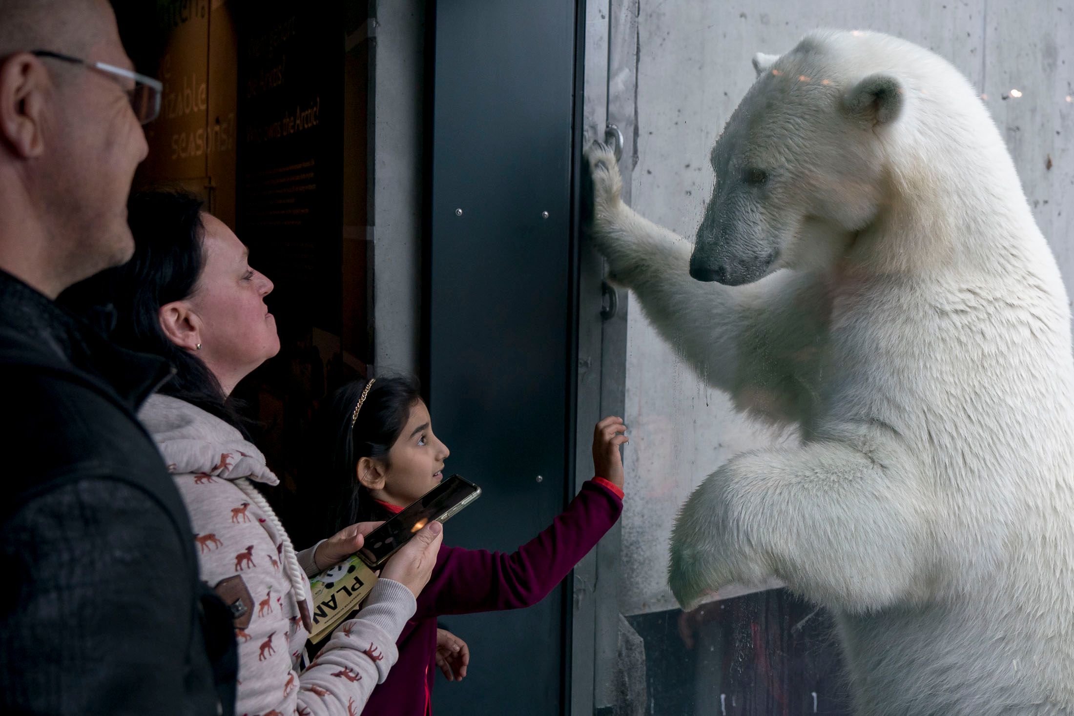 Der Tiergarten Schönbrunn hat mit November die Entrittspreise erhöht.