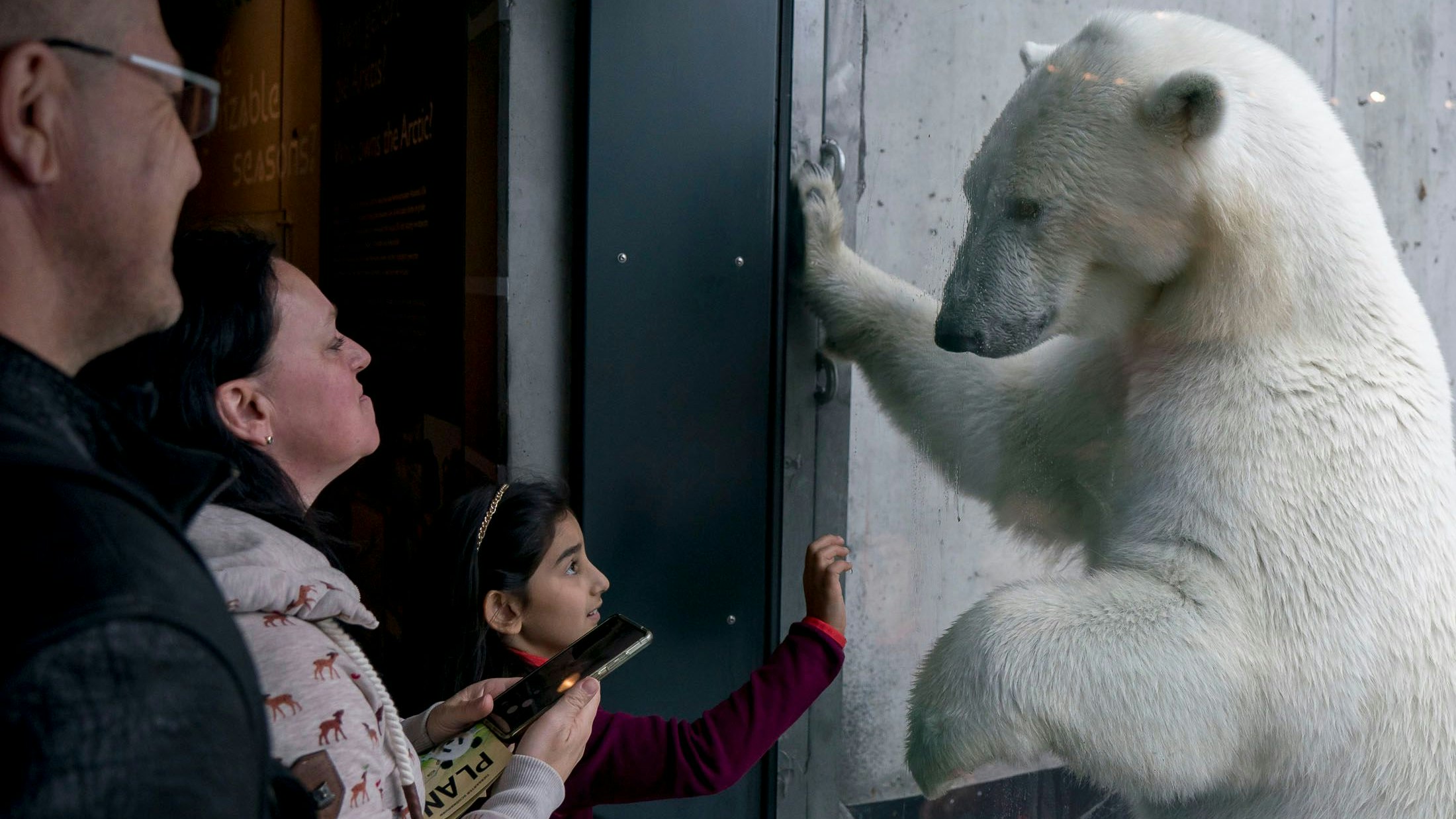 Heute.at - Eintritt wird teurer – Zoo und Museen erhöhen Preise