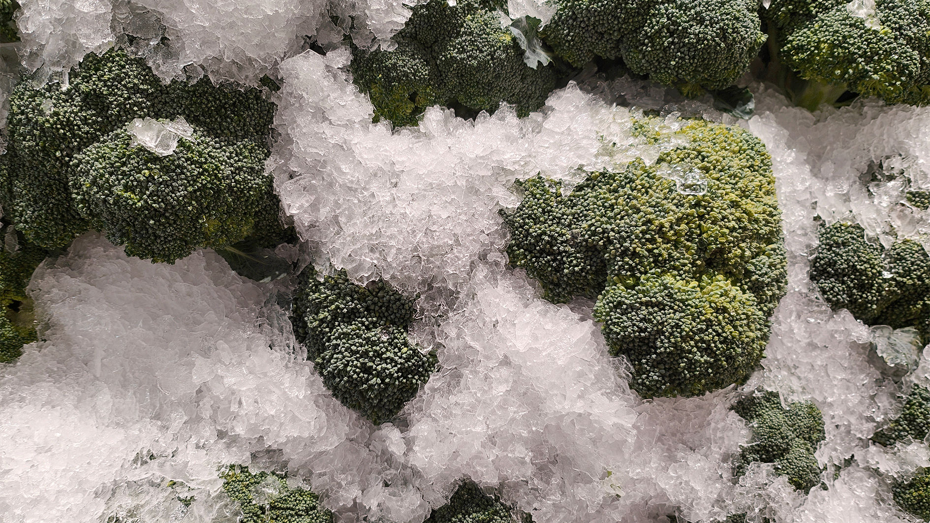 Nicht blanchiertes Gemüse verliert große Teile seiner Antioxidantien.