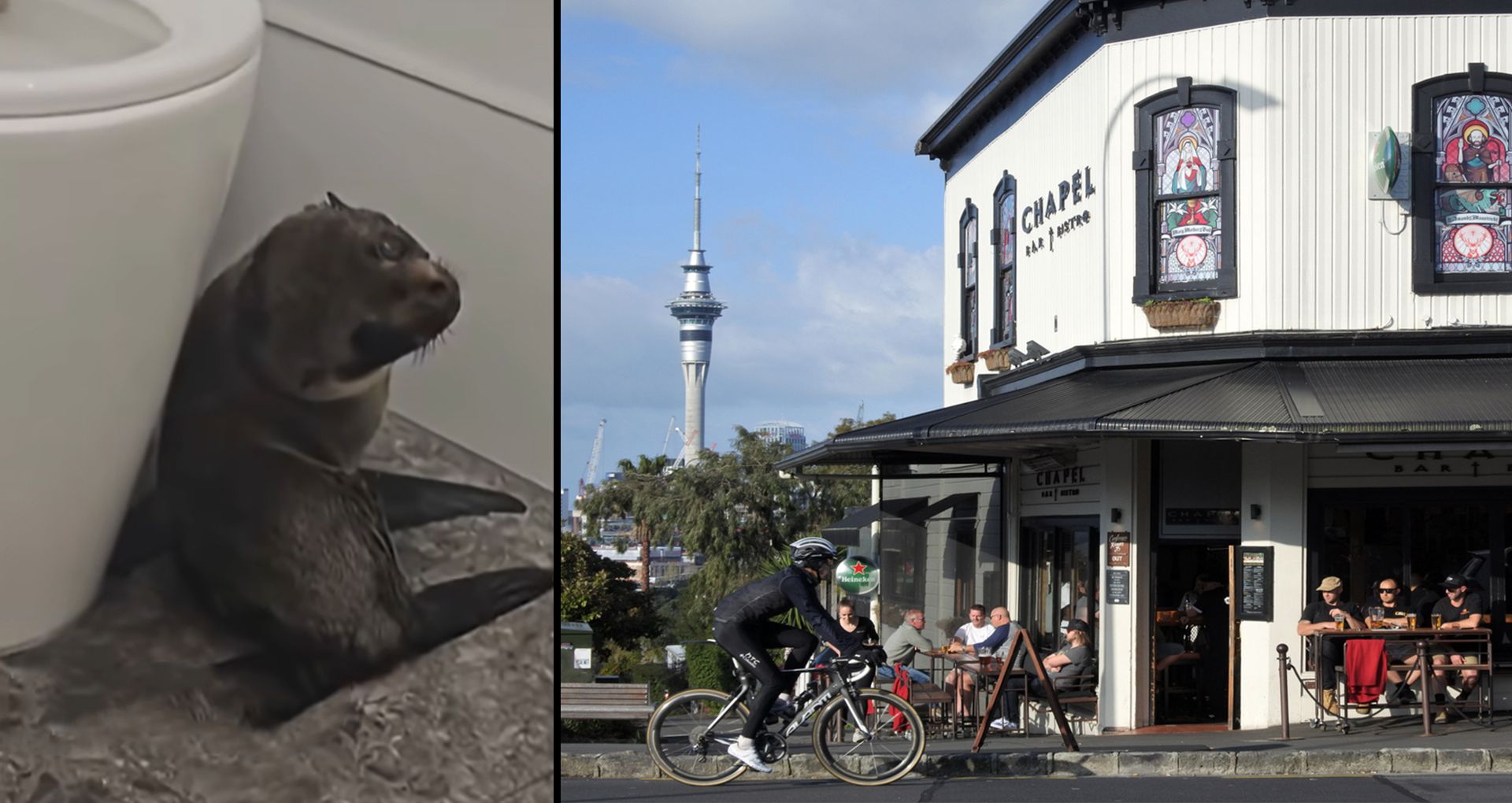 Heute.at - Minderjährig! Mit diesem Gast hatte niemand gerechnet