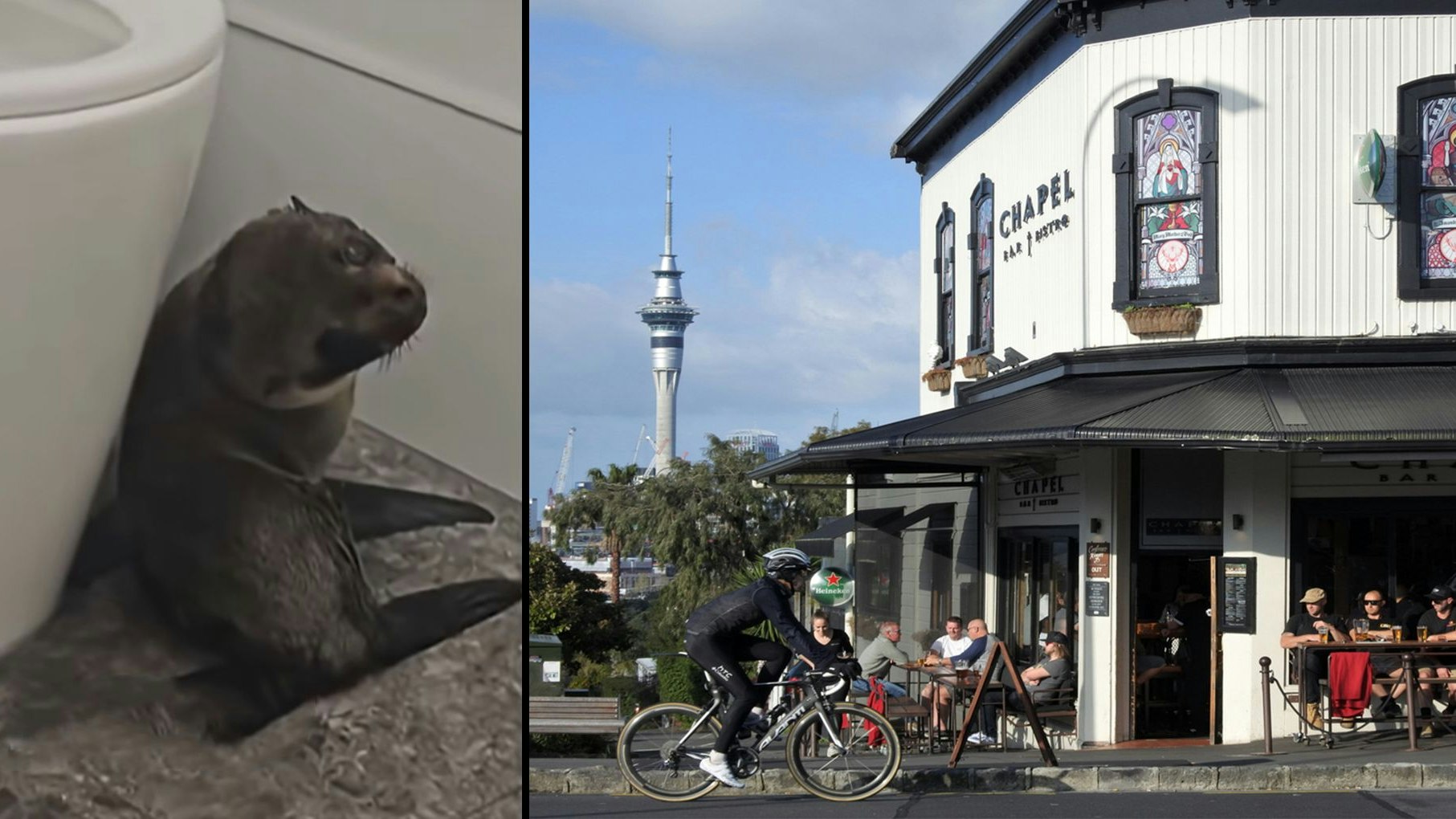 Heute.at - Minderjährig! Mit diesem Gast hatte niemand gerechnet