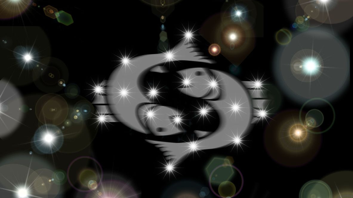 Fische erkennen klar, welche Menschen ihnen guttun.