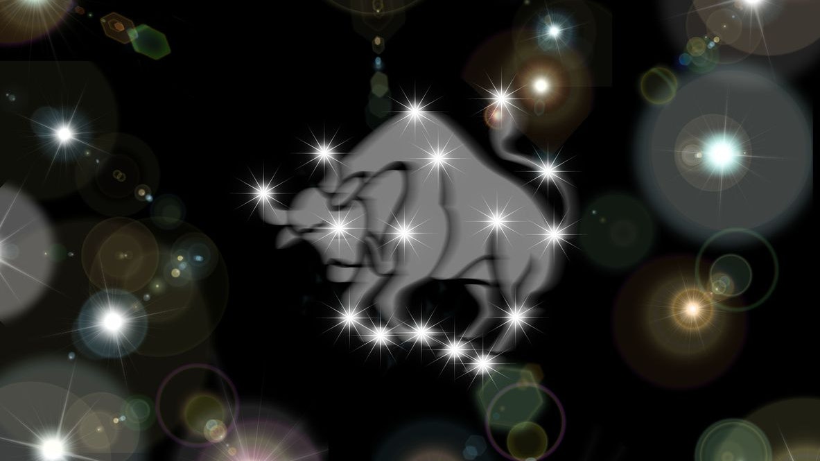 Der Stier schafft jetzt Vertrauen.