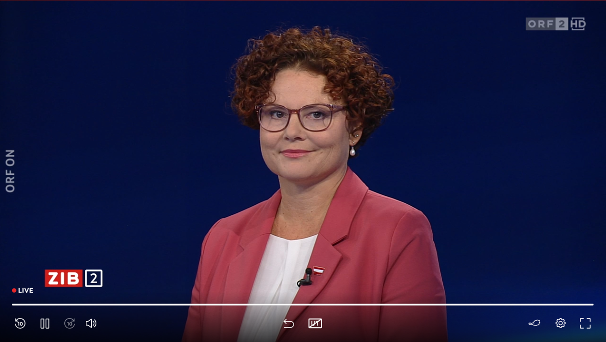 Elisabeth Zehetner, Staatssekretärin für Energie (ÖVP), in der 