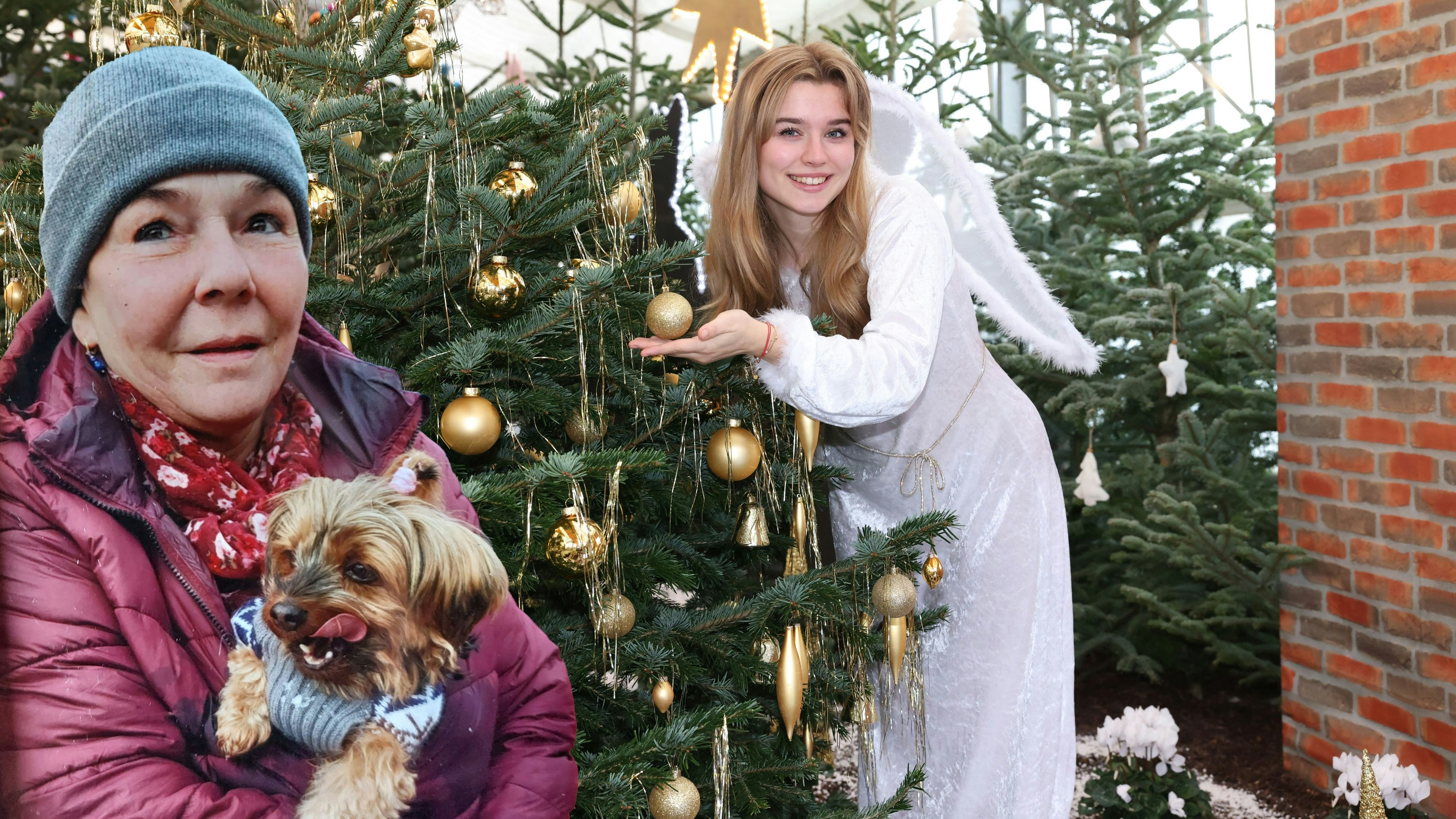 Heute.at - Langes Warten auf Kassen-Termin – Helga zahlt OP privat