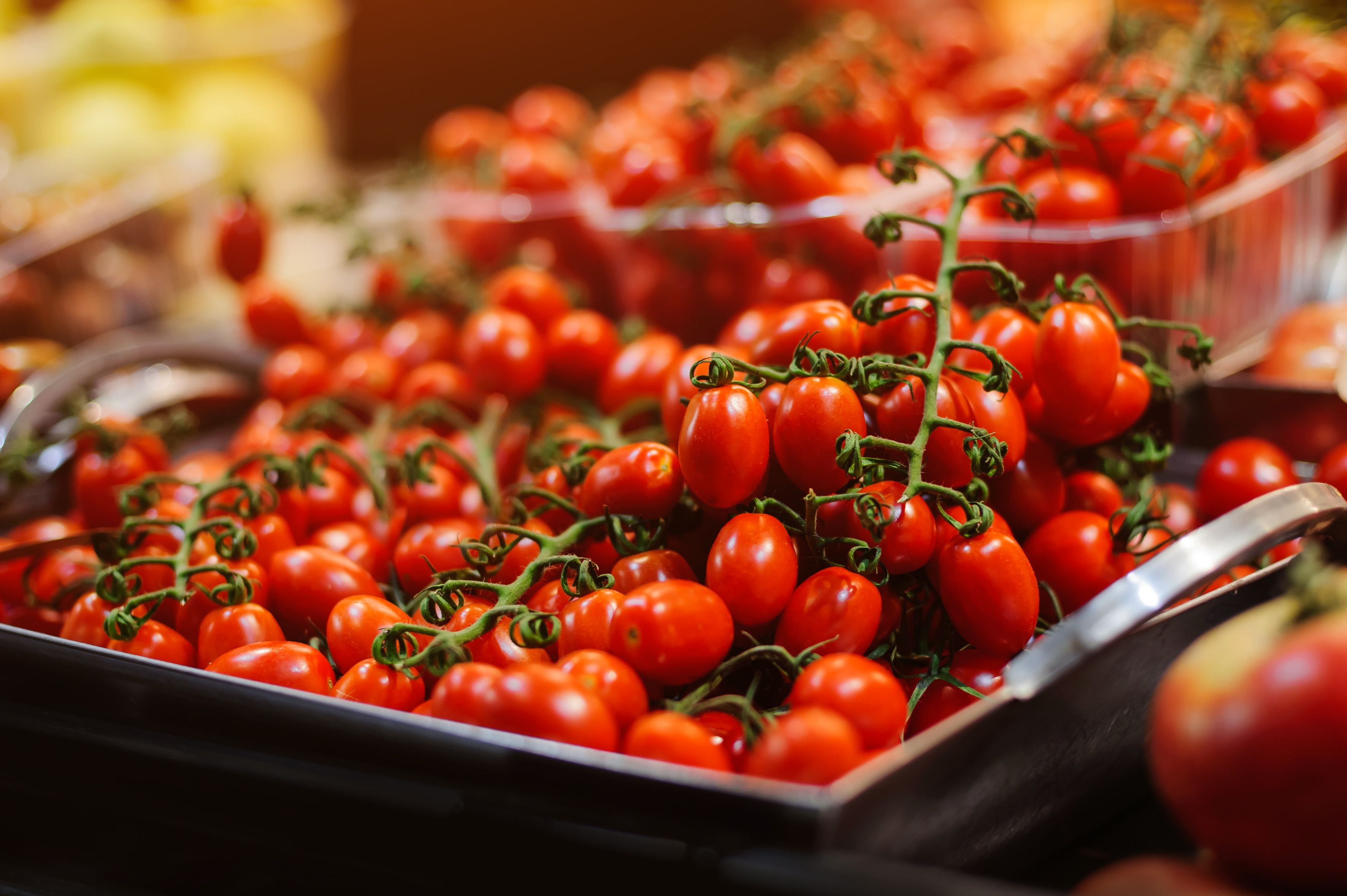 Heute.at - Supermarkt muss Eigenmarke-Tomaten zurückrufen