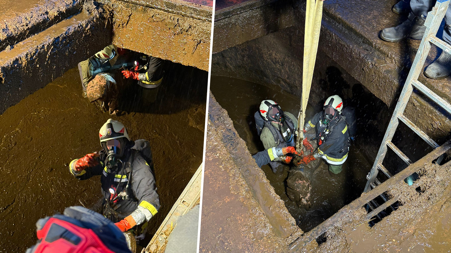 Die Einsatzkräfte der Feuerwehr konnten das Kalb schließlich aus der Grube heben.