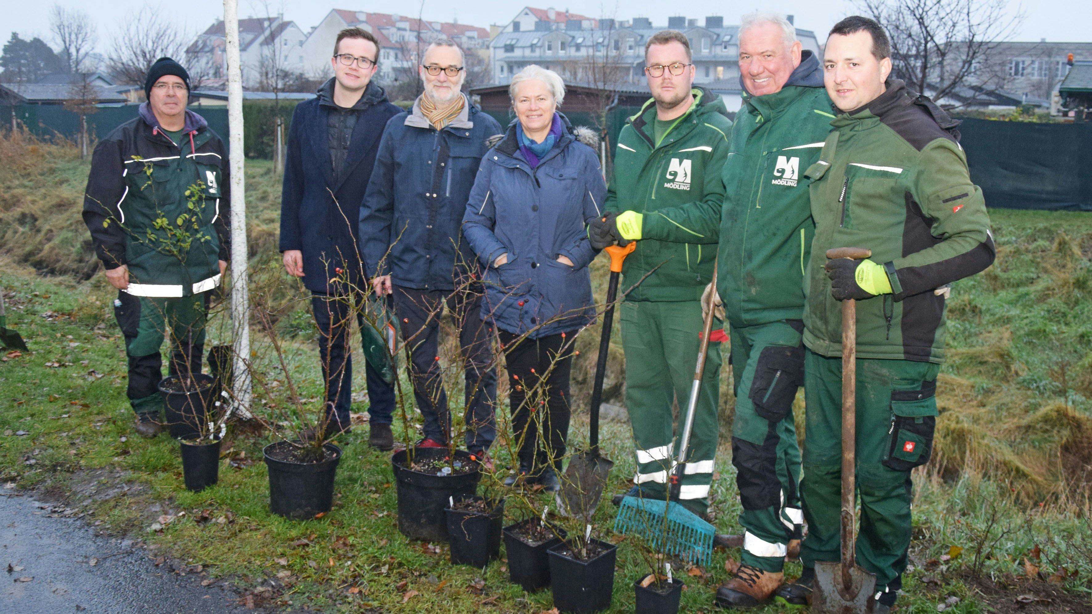Heute.at - Rosenkavalier verschönert seine Gemeinde