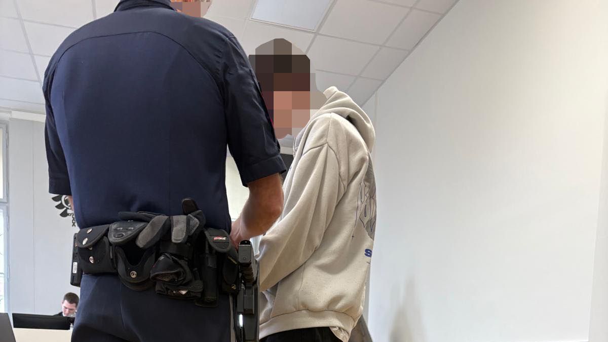 Kürzlich musste sich ein junger Mehrfach-Brandstifter vor dem Landesgericht Wiener Neustadt verantworten.