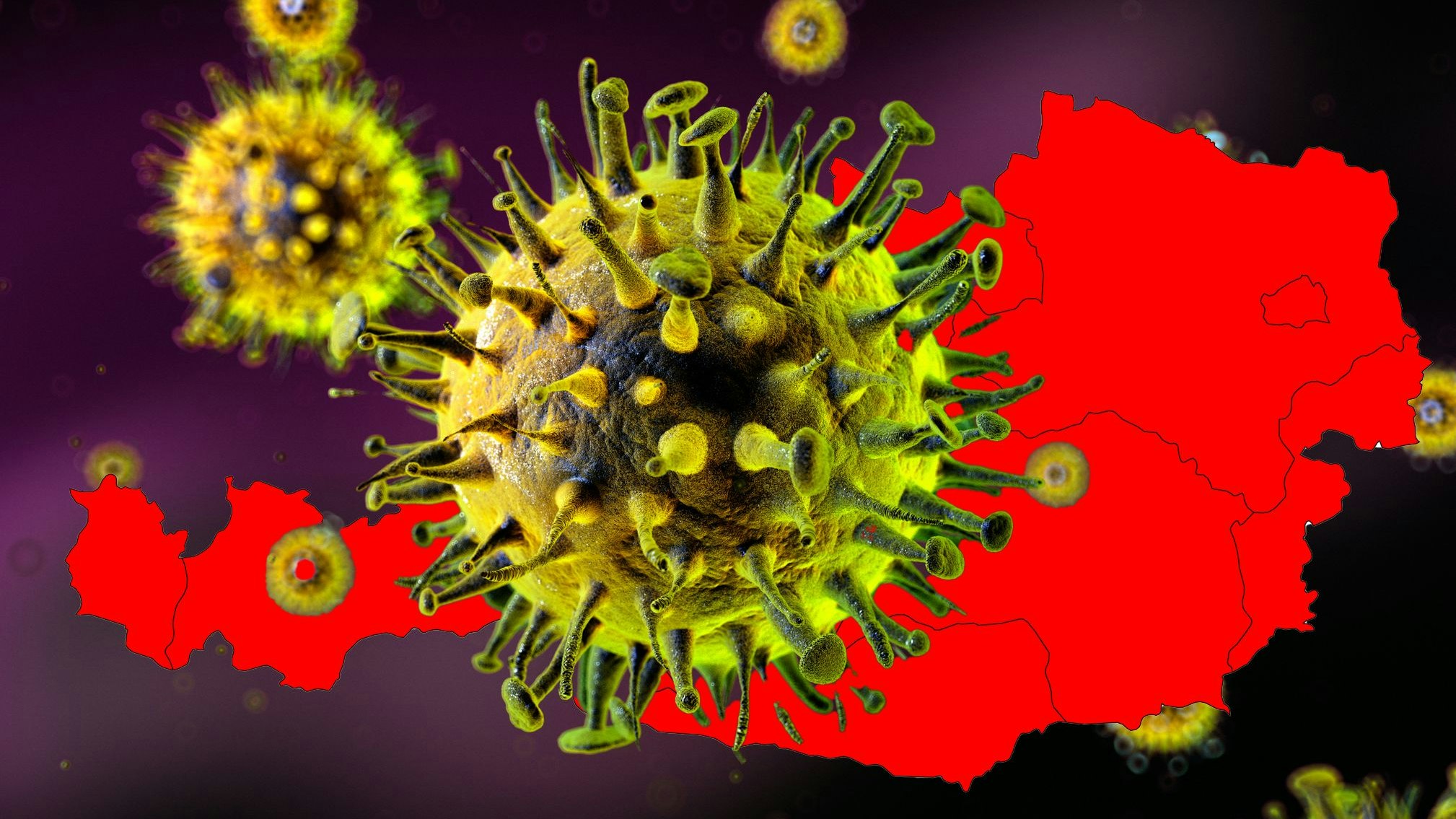 Heute.at - Jede Woche mehr – Virus wütet jetzt in Österreich