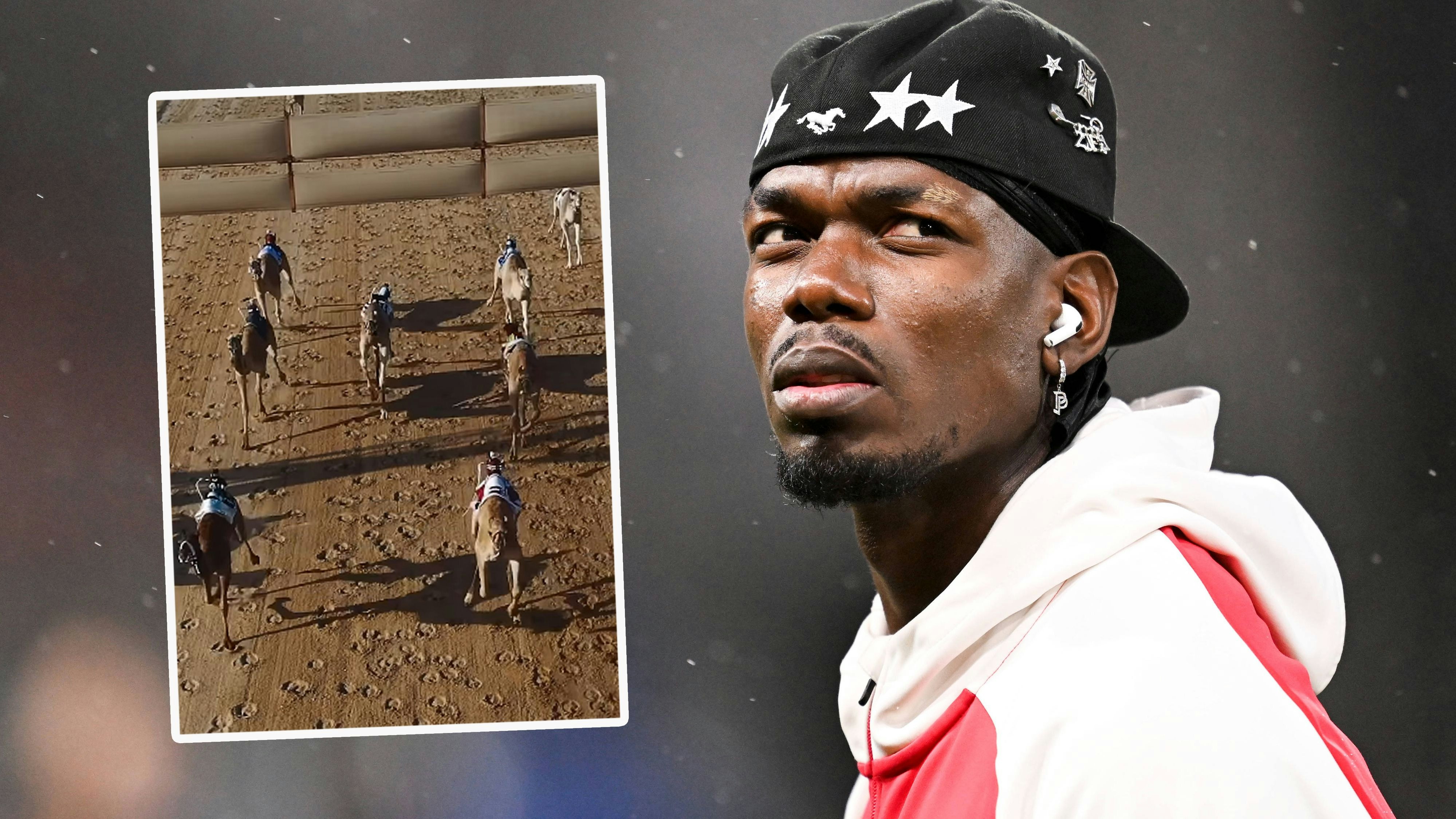 Heute.at - Ex-Weltmeister Pogba steigt jetzt in Kamelrennstall ein