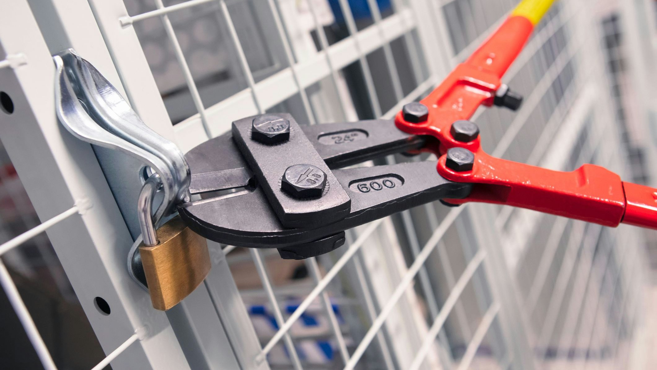 Heute.at - Keller-Einbrecher auf frischer Tat ertappt