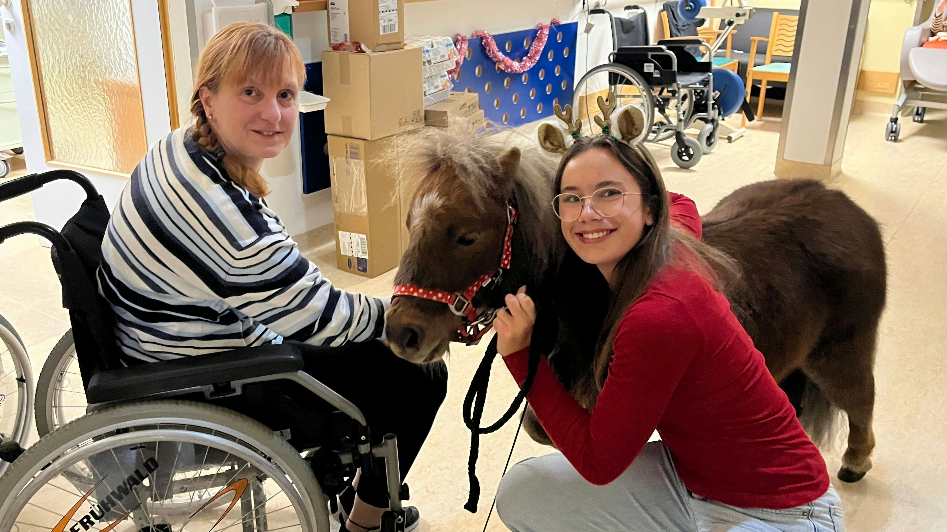 Heute.at - Peanut und Oner – Zwergponys bringen Freude ins Haus