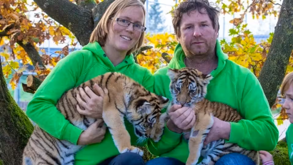 Heute.at - Baute Tierpark auf – SRF-Auswanderin (38) ist tot