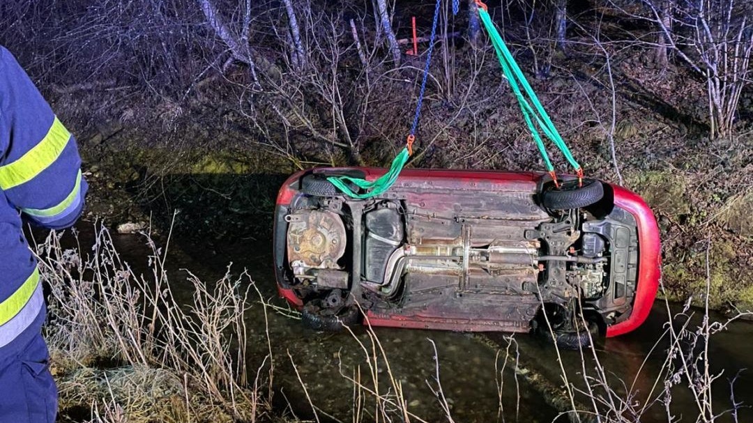 Heute.at - Fuchs auf Fahrbahn! Pkw-Lenkerin (19) landet im Bach