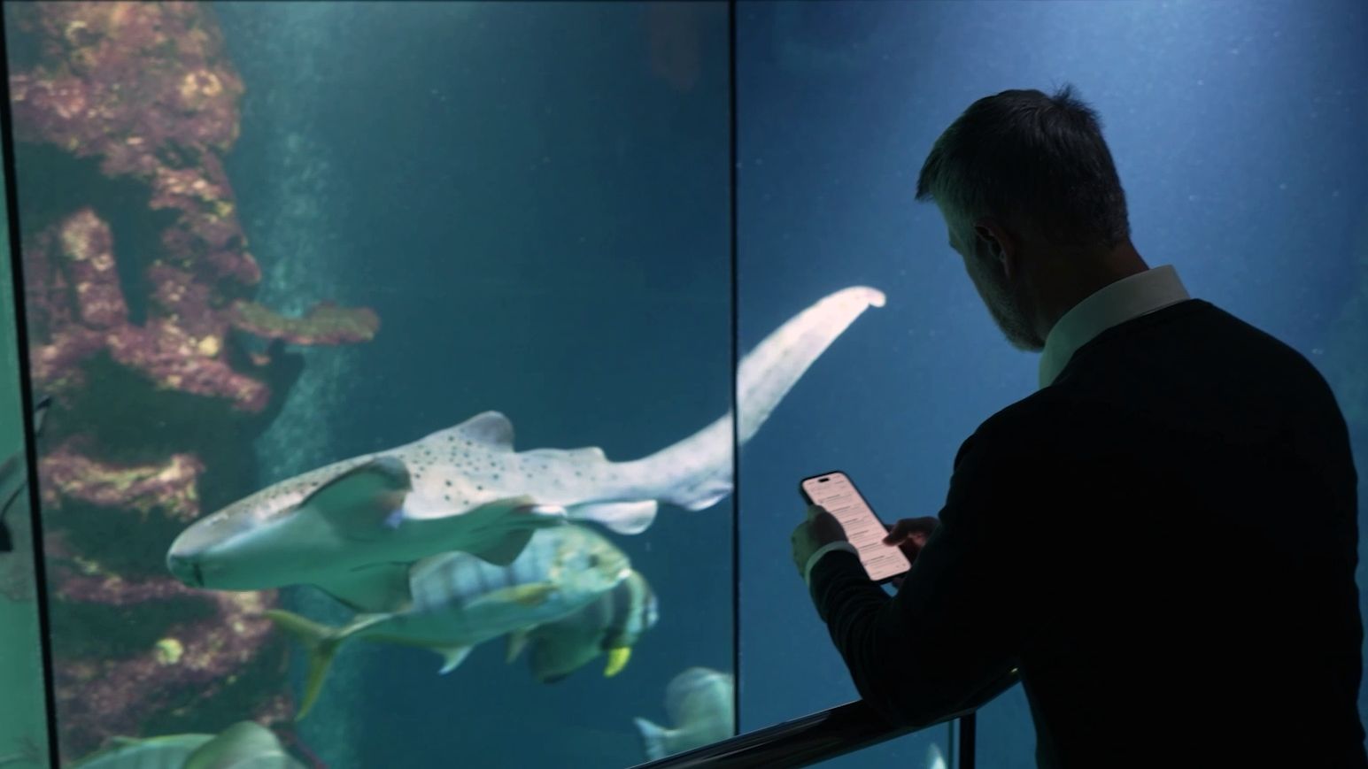 Haus des Meeres: Digitale Lösungen von A1 schaffen Transparenz bei Energieverbrauch und Besucherströmen.