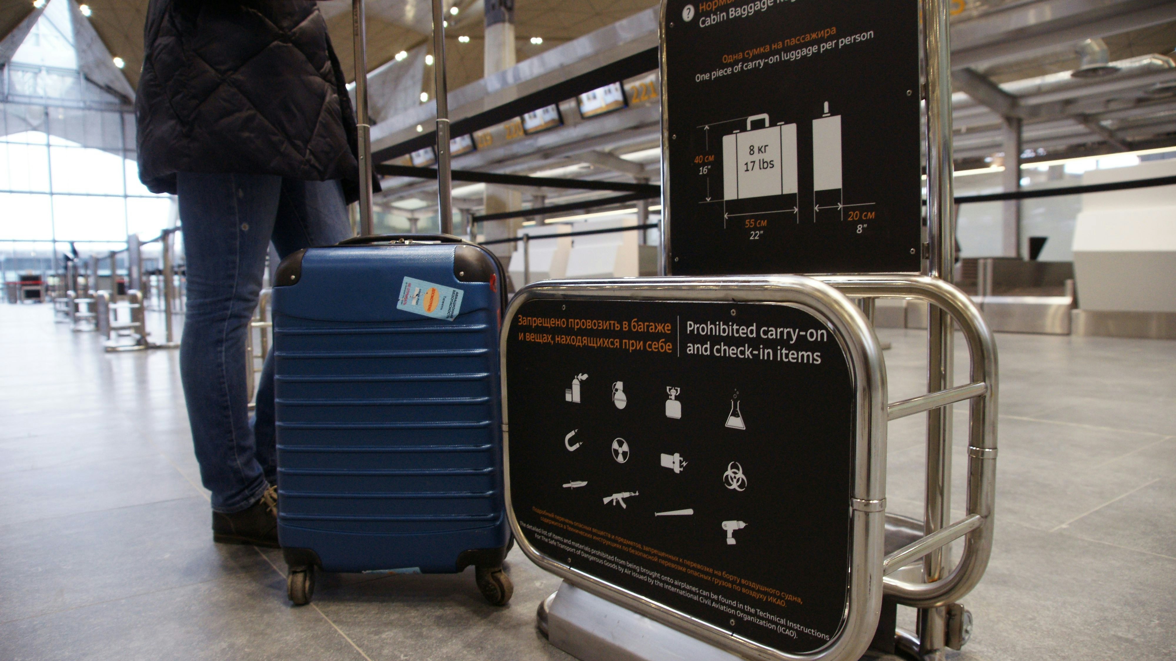 Russia. Saint-Petersburg. Pulkovo Airport. Aviation industry infrastructure. Checking your hand luggage.