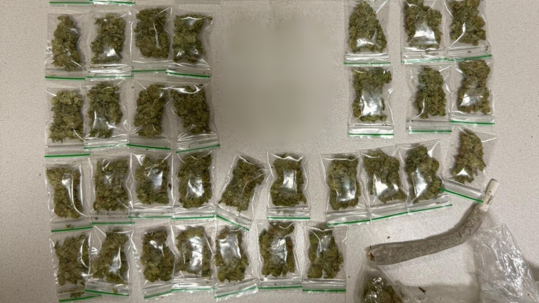 Heute.at - Dealer geschnappt – 54 Baggis voll mit Cannabis