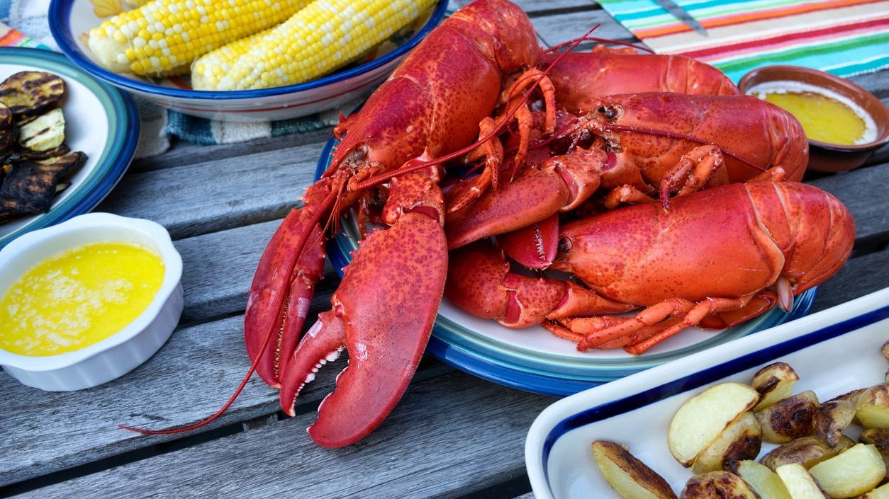 Heute.at - Das Leid dieser Tiere wird ständig vergessen