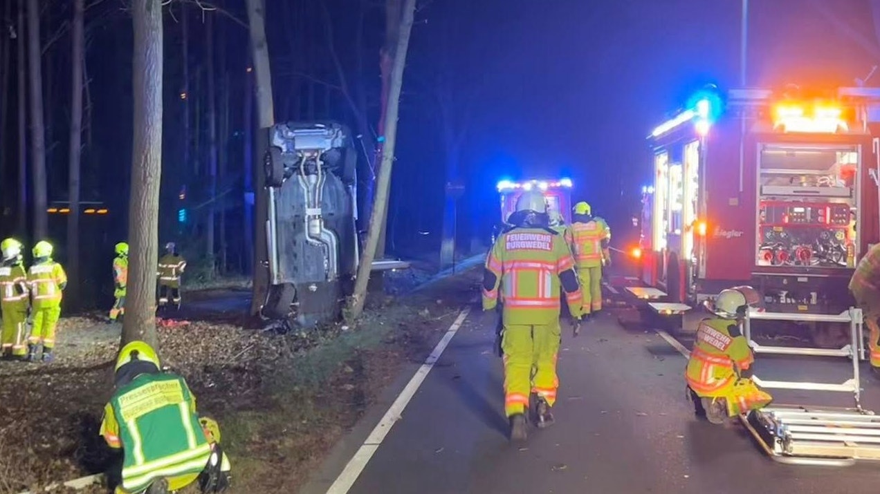 Heute.at - Auto hängt nach Unfall kopfüber zwischen Bäumen