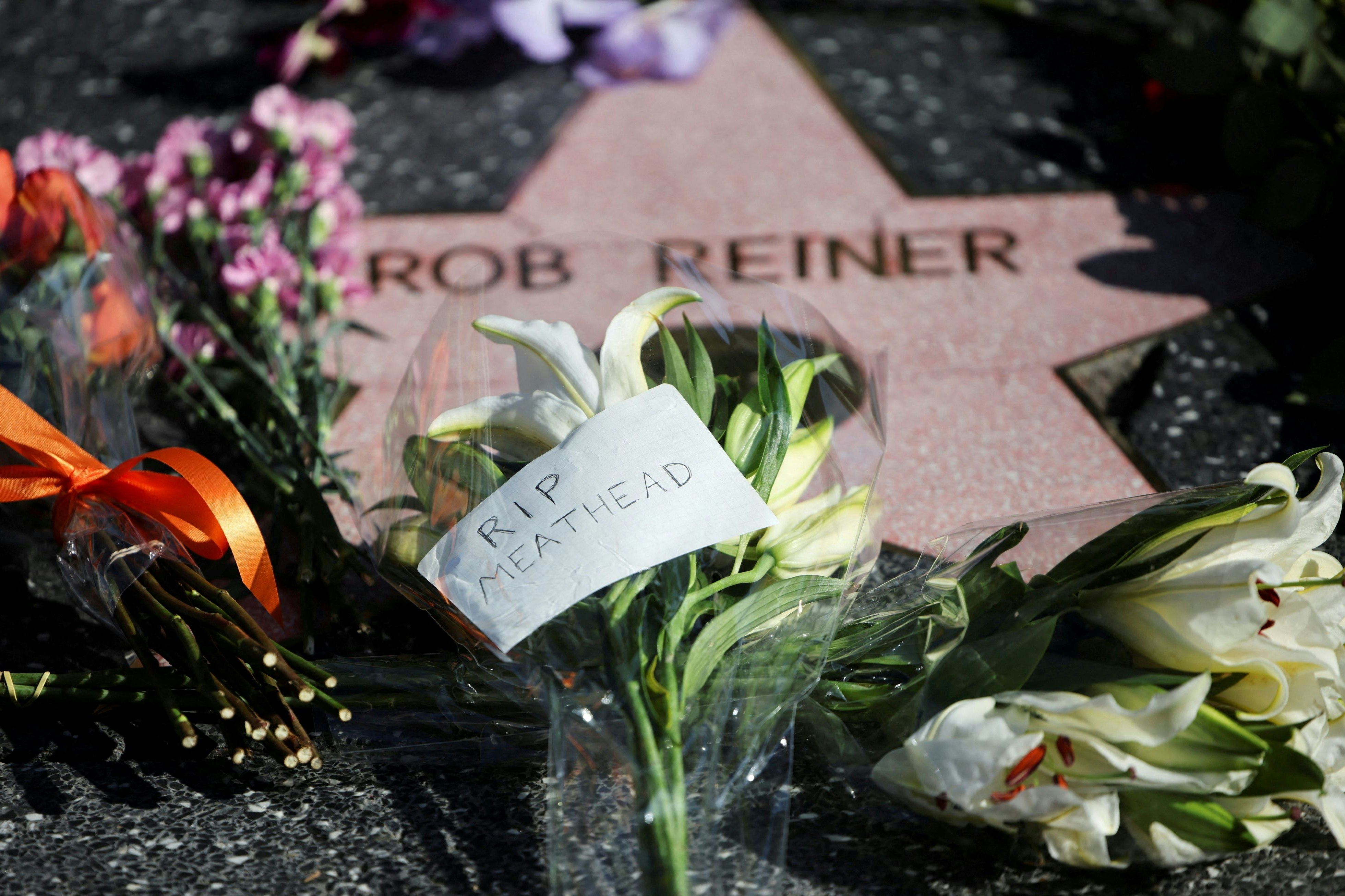 Blumen an Rob Reiners Stern am Walk of Fame: "Meathead" (Fleischkopf) war sein Spitzname in seiner wichtigsten Rolle als Schauspieler in der Sitcom "All in the Family"