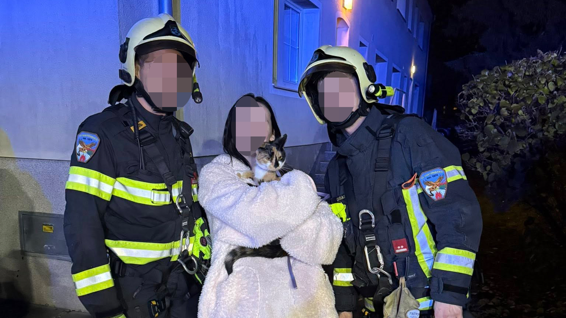 Heute.at - Hilflos: Feuerwehr rettet Katze aus Rauchfang