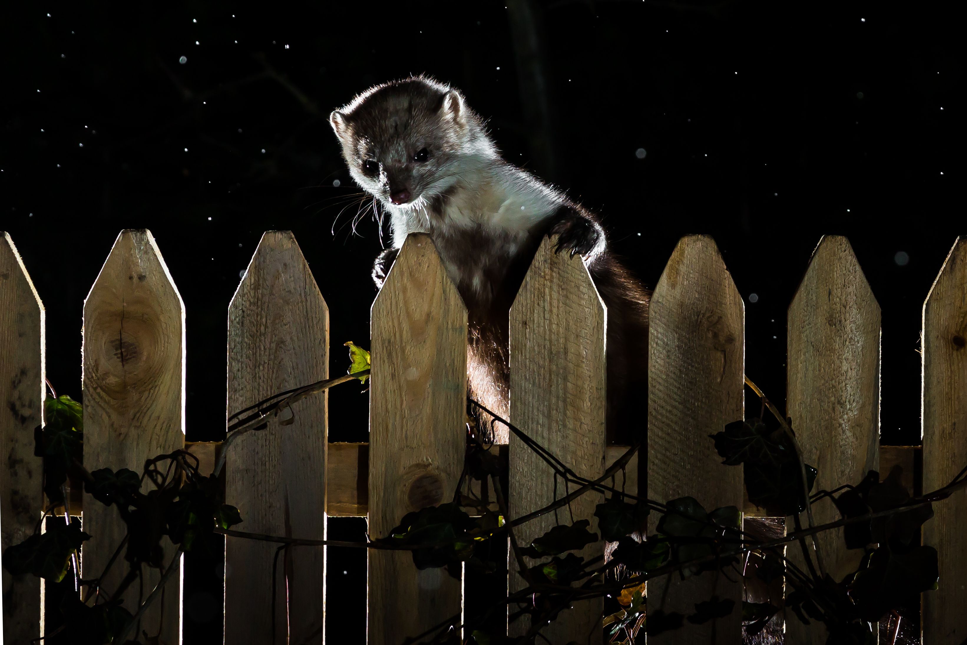 Speziell im Herbst und Winter ist der 