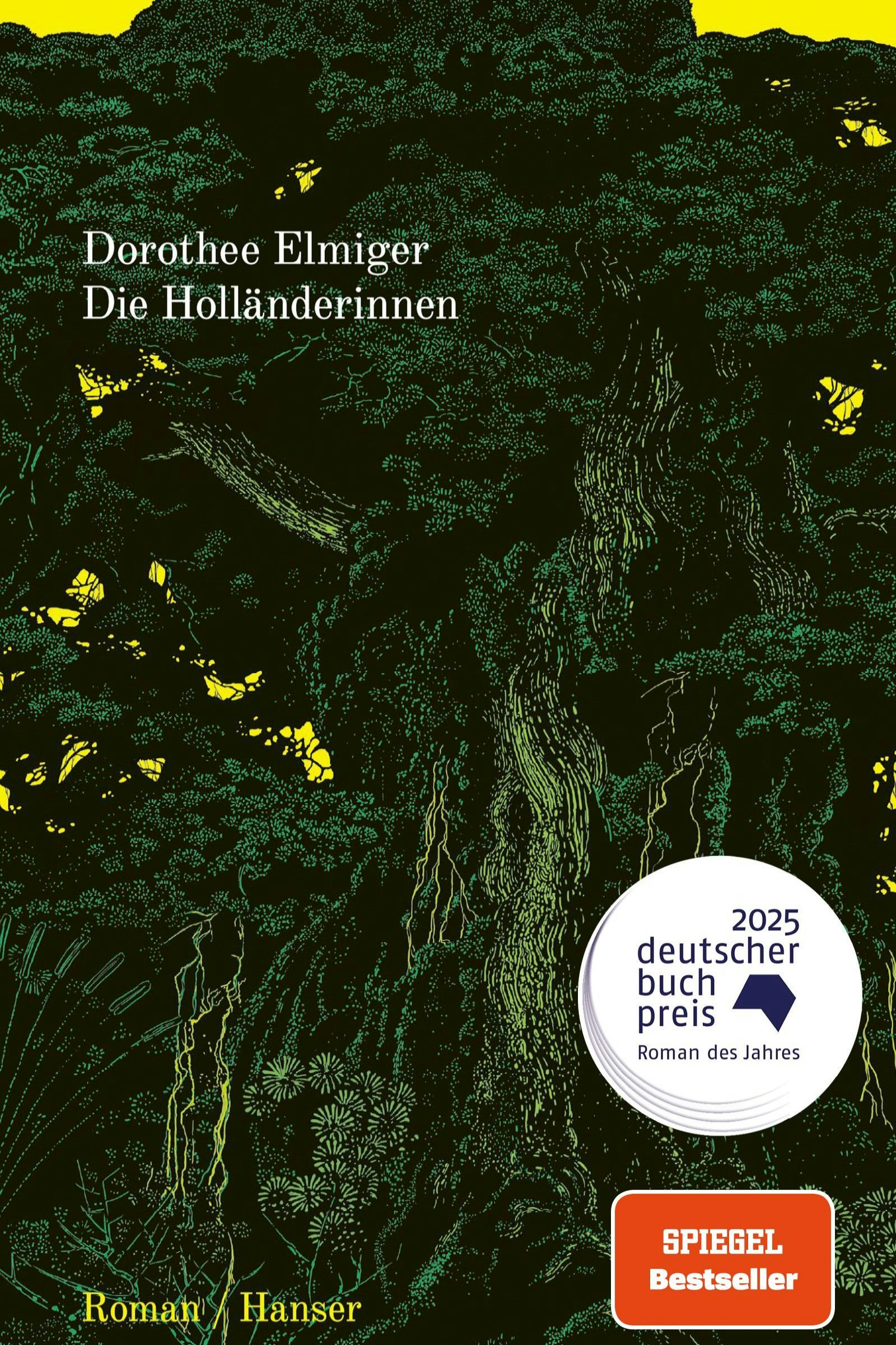 "Die Holländerinnen" von Dorothee Elmiger, Hanser, € 24,50