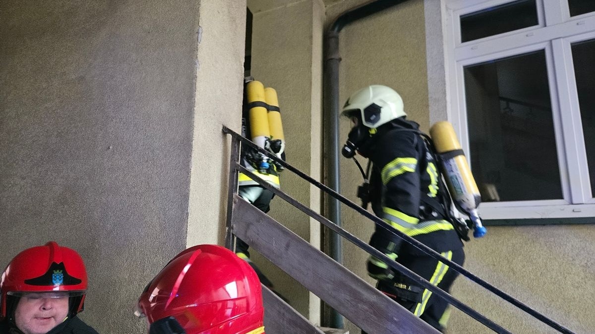 Heute.at - Gasaustritt – für zwei Katzen gab es keine Rettung mehr