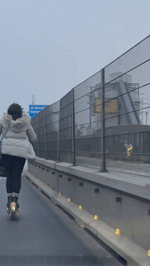 E-Scooter auf A23: Gefährliche Fahrt einer Frau auf Wiener Autobahn sorgt für Aufsehen. StVO verbietet E-Scooter auf Autobahnen strikt.