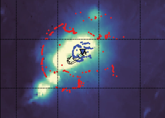 Neue Forschungsergebnisse entschlüsseln ein altes Rätsel rund um die Bermuda-Inseln.